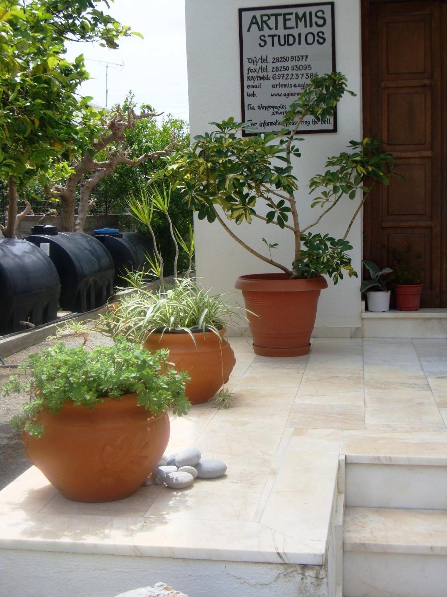 Artemis Studios Agia Roumeli Exteriér fotografie