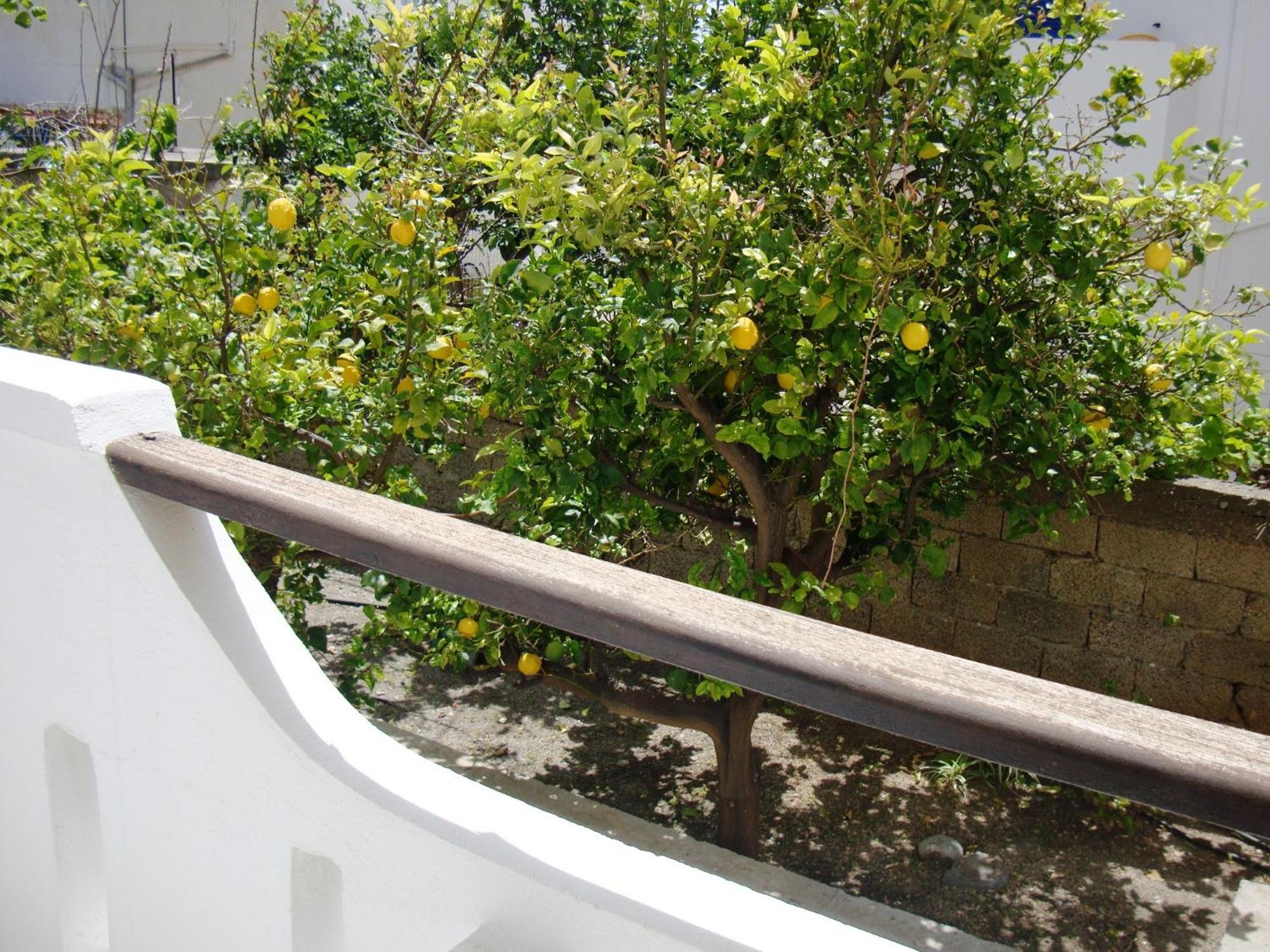 Artemis Studios Agia Roumeli Exteriér fotografie