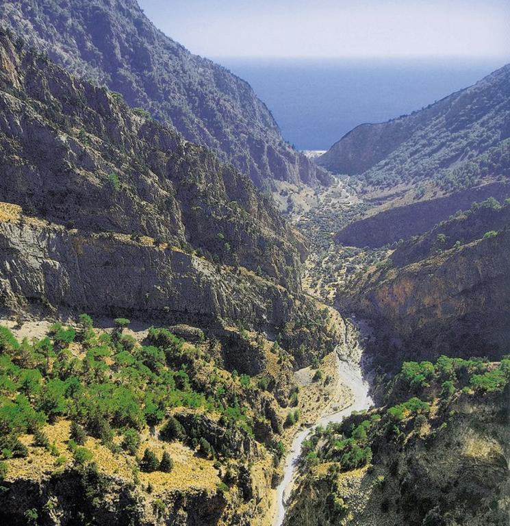 Artemis Studios Agia Roumeli Pokoj fotografie
