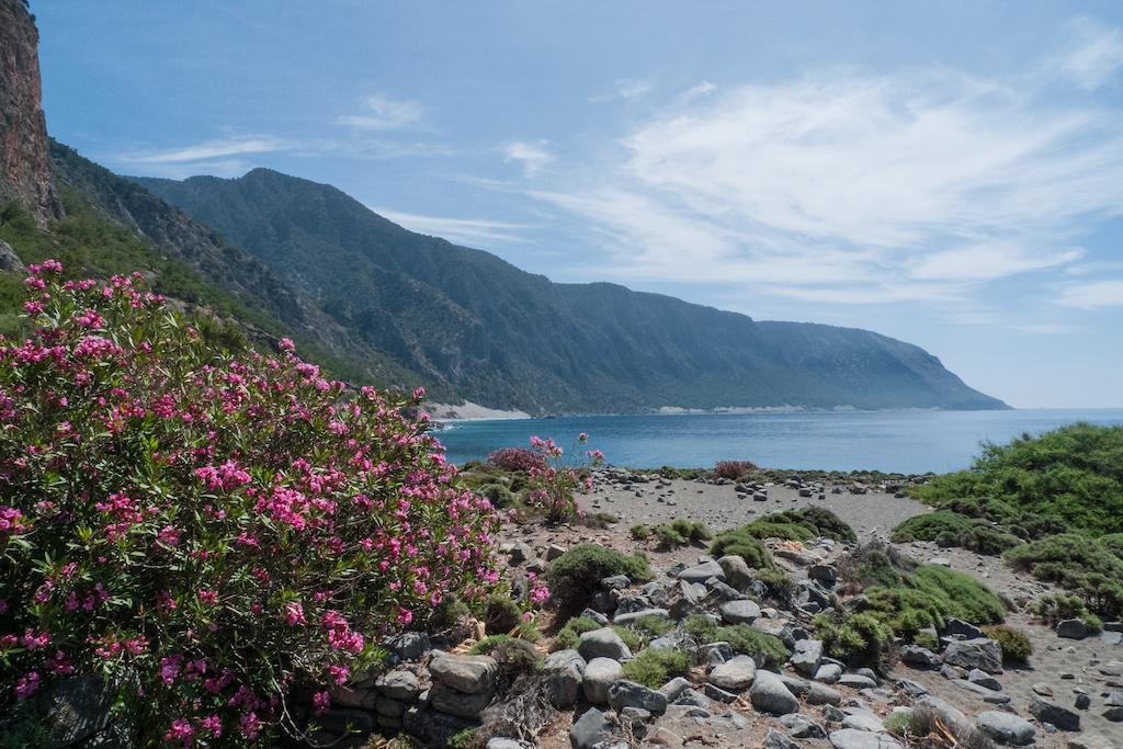 Artemis Studios Agia Roumeli Pokoj fotografie