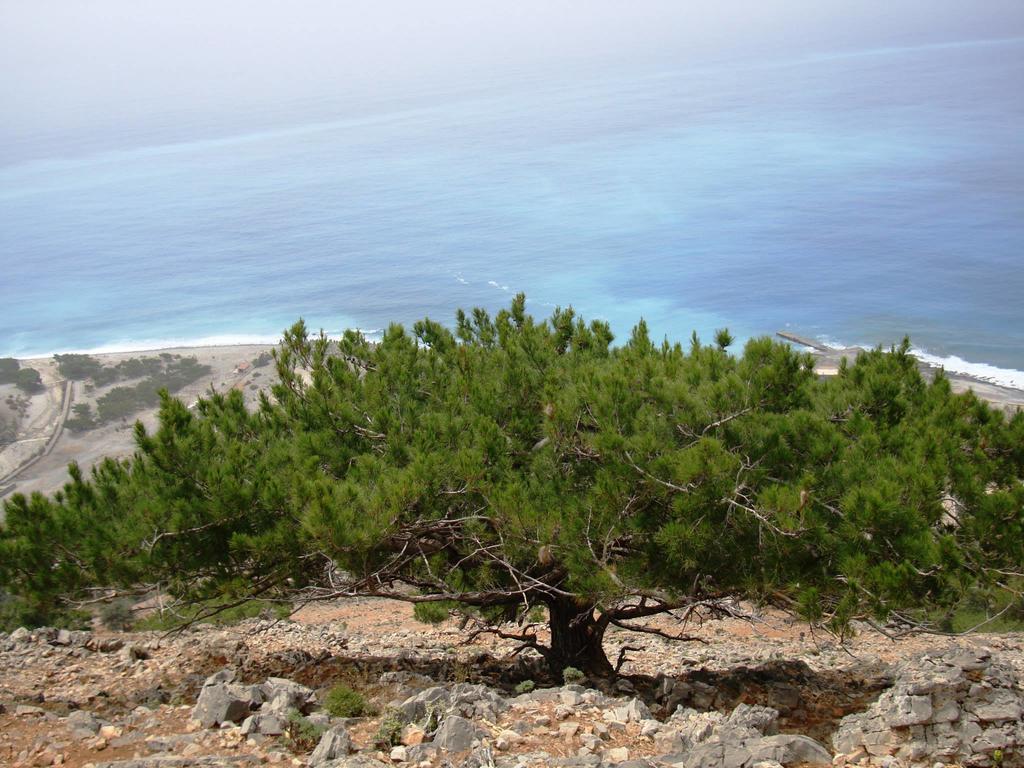 Artemis Studios Agia Roumeli Exteriér fotografie