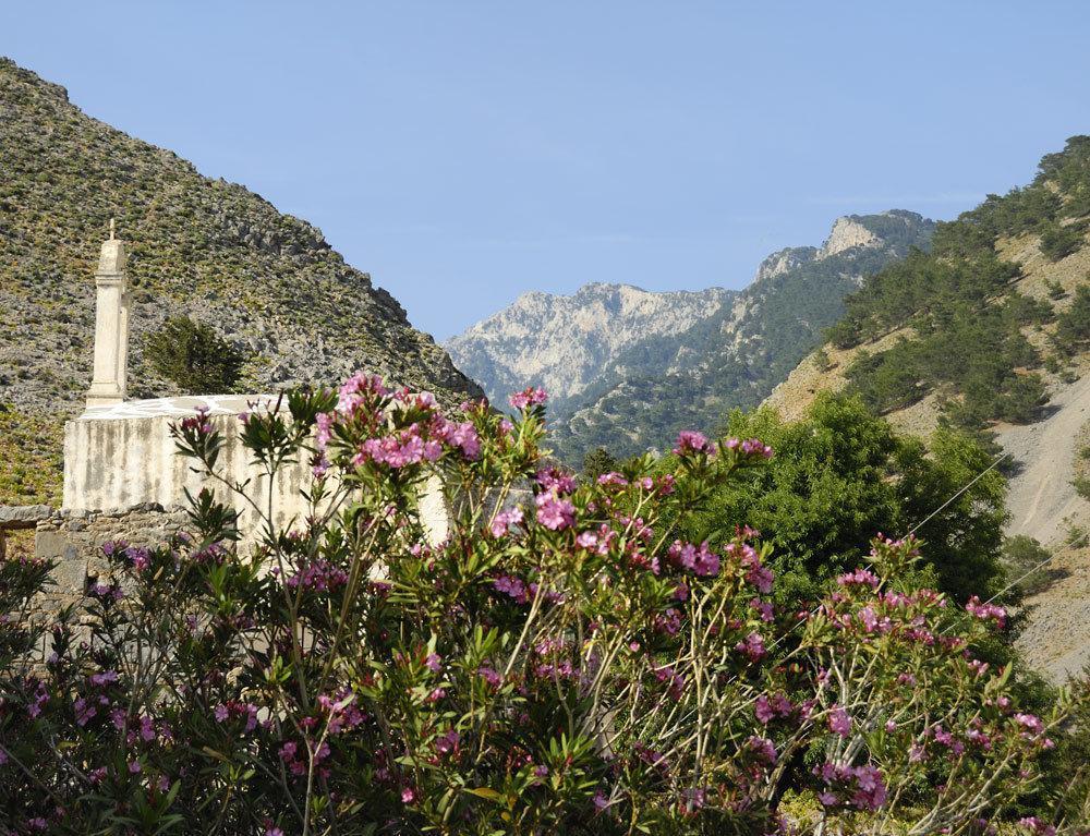 Artemis Studios Agia Roumeli Exteriér fotografie