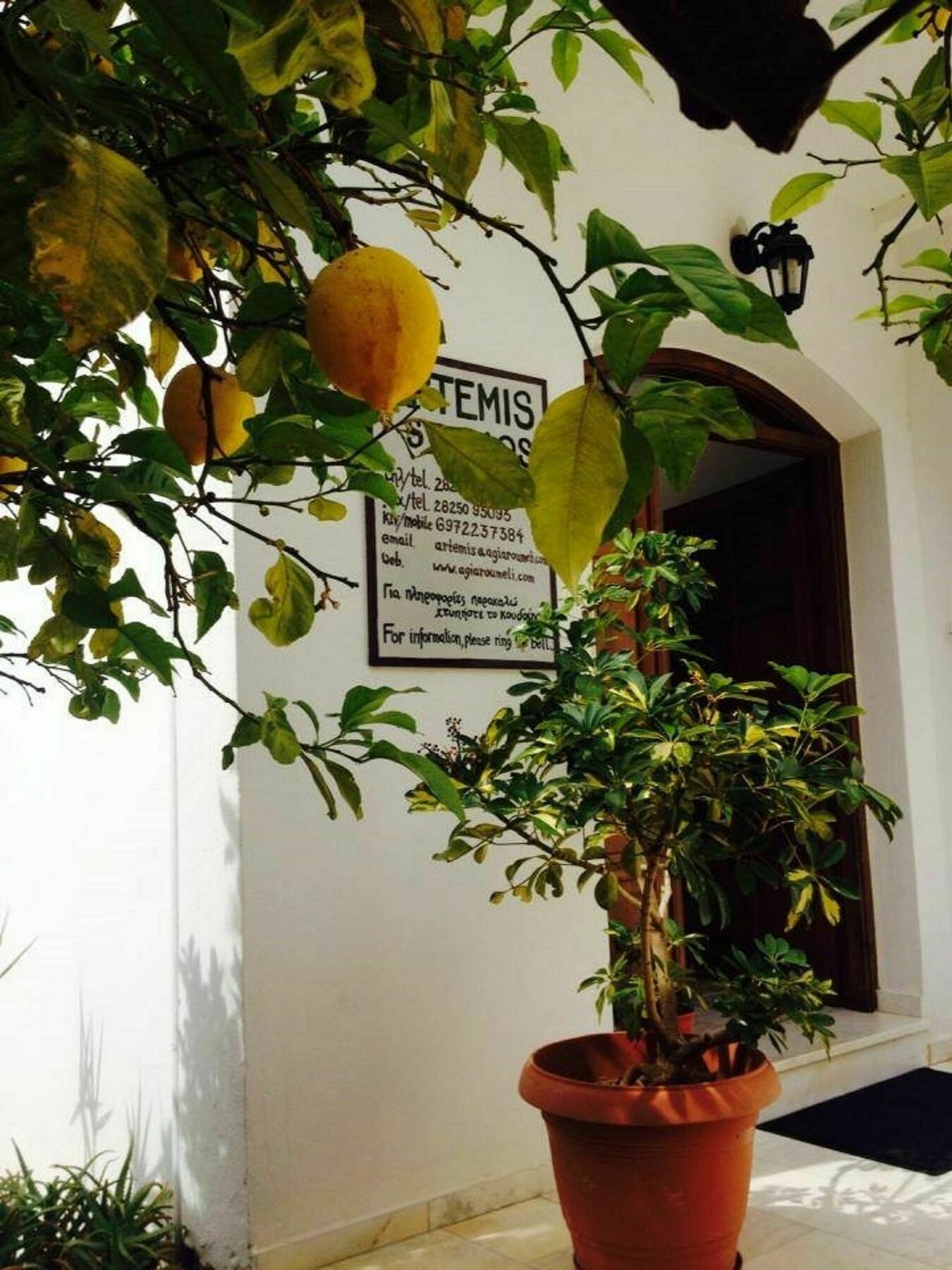 Artemis Studios Agia Roumeli Exteriér fotografie